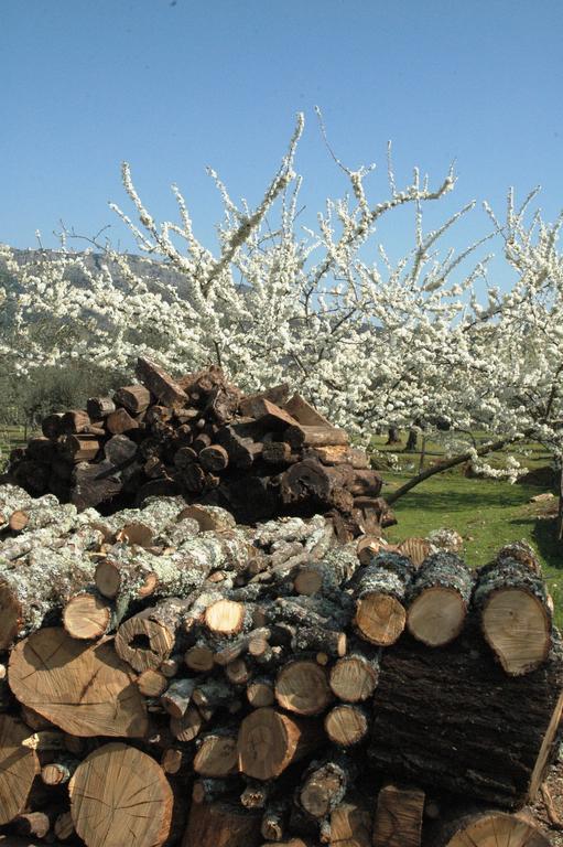 Вилла Quinta Do Vaqueirinho - Agro-Turismo Марван Экстерьер фото